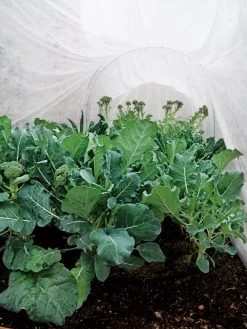 Summerweight Garden Fabric -Garden Sales 32644 7936 tif