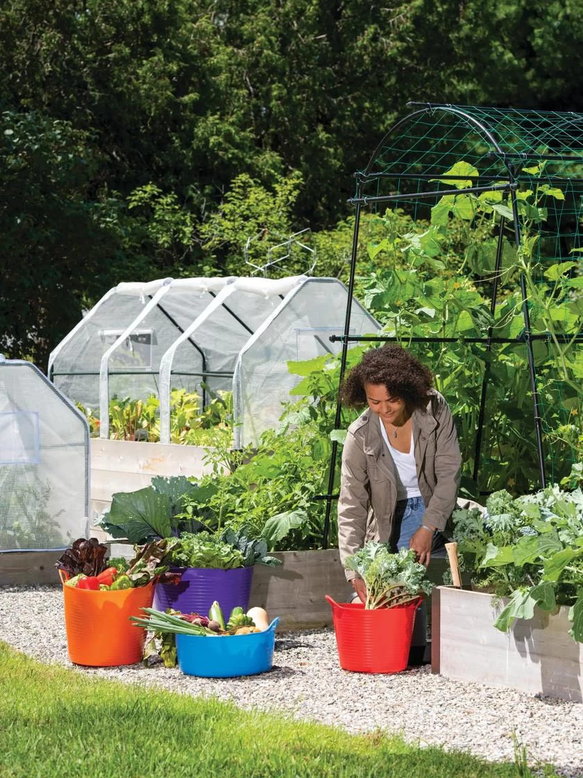 Garden Sales -Garden Sales 35 592 0184 tif