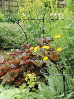 Essex Plant Supports 10 Essex Plant Supports -Garden Sales 37423 280 tif