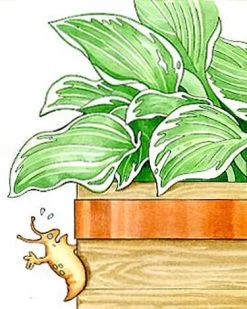 Copper Slug Tape -Garden Sales 38 994 b