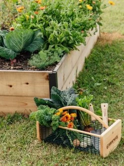 Garden Hods 10 Garden Hods -Garden Sales 39 761 572 tif