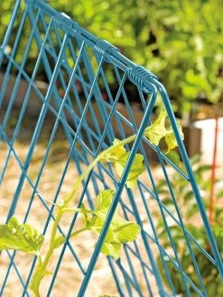 Deluxe Cucumber Trellis 14 Deluxe Cucumber Trellis -Garden Sales 39806 BLUE 100 tif