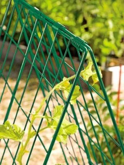 Deluxe Cucumber Trellis 13 Deluxe Cucumber Trellis -Garden Sales 39806 GR edit tif