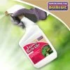 Bonide® Japanese Beetle Killer -Garden Sales 3 4 crop 8586927 01V 3 4