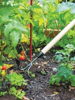 Gardener's Lifetime Long-Handled Double Tool -Garden Sales 3 4 crop 8592107 2460 tif