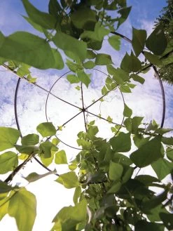 Jardin Tower 12 Jardin Tower -Garden Sales 3 4 crop 8612997 0033