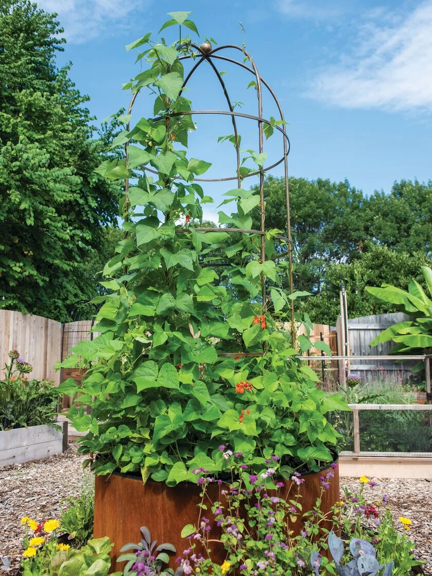 Jardin Tower 4 Jardin Tower - Image 2