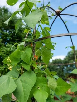 Jardin Tower 10 Jardin Tower -Garden Sales 3 4 crop 8612997 0058