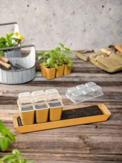 Gardener's Best® Humidity Dome, Set Of 2 -Garden Sales 3 4 crop 8613067 10063