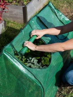 Multi Cloche 16 Multi Cloche -Garden Sales 3 4 crop 8613213 0265