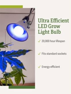 Miracle LED® Grow Light Bulb, Blue -Garden Sales 3 4 crop Miracle Bulb Blue 1