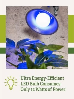 Miracle LED® Grow Light Bulb, Blue -Garden Sales 3 4 crop Miracle Bulb Blue 2
