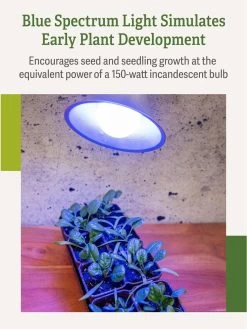 Miracle LED® Grow Light Bulb, Blue -Garden Sales 3 4 crop Miracle Bulb Blue 3