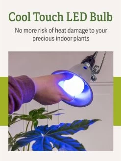Miracle LED® Grow Light Bulb, Blue -Garden Sales 3 4 crop Miracle Bulb Blue 4