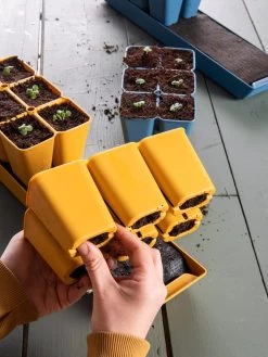 Gardener's Best® XL Seed Starting Kit 23 Gardener's Best® XL Seed Starting Kit -Garden Sales 40 135 6188