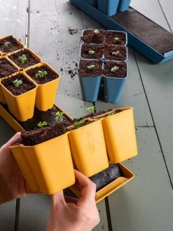 Coco Coir Seed Starting Mix 7 Coco Coir Seed Starting Mix -Garden Sales 40 135 6192