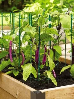 Pepper And Eggplant Stakes, Set Of 3 6 Pepper And Eggplant Stakes, Set Of 3 -Garden Sales 40308 2116 tif