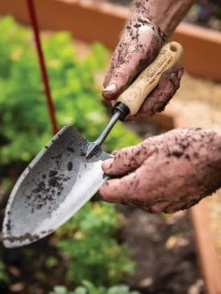 Gardener's Lifetime Trowel 13 Gardener's Lifetime Trowel -Garden Sales 8586972 3242 tif