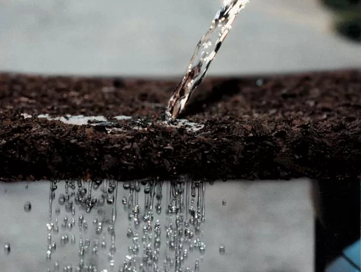 Tree Ring, 36" 4 Tree Ring, 36" - Image 2