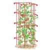 Tomato Cage, Single 1 Tomato Cage, Single -Garden Sales 8587039 TomatoCage tif