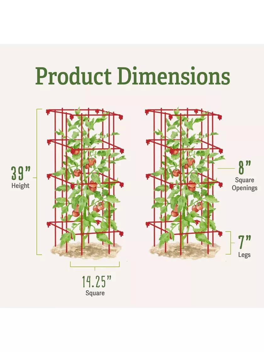 Tomato Cages, Set Of 4 8 Tomato Cages, Set Of 4 - Image 6