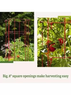 Tomato Cages, Set Of 4 15 Tomato Cages, Set Of 4 -Garden Sales 8587040 2