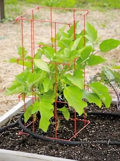 Pepper And Eggplant Cages, Set Of 3 -Garden Sales 8587048 103 tif