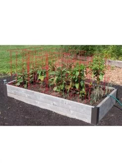 Pepper And Eggplant Cages, Set Of 3 -Garden Sales 8587048 6008 3 4