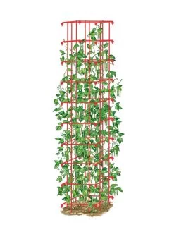 Garden Sales -Garden Sales 8587060 0008 RED tif