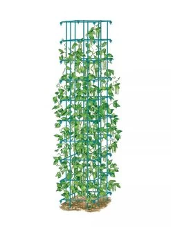 Bean Tower -Garden Sales 8587060 BeanTower BLUE