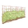 Expandable Pea Trellis -Garden Sales 8587061 PeaFence Red 001E tif