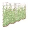 Tall Expandable Pea Trellis 2 Tall Expandable Pea Trellis -Garden Sales 8587062 0001 RED tall expandable pea trelis tif