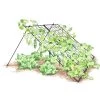 Large Cucumber Trellis -Garden Sales 8587082 CukeTrellis L Blk 001E tif