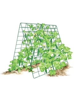 Deluxe Cucumber Trellis 16 Deluxe Cucumber Trellis -Garden Sales 8587083 001 GRN tif