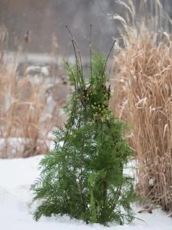 Jardin Pot Trellis 11 Jardin Pot Trellis -Garden Sales 8587120 009 tif