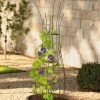 Jardin Pot Trellis -Garden Sales 8587120 224 tif