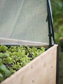 Protection Frame & Covers, 2' X 4' 10 Protection Frame & Covers, 2' X 4' -Garden Sales 8587631 265 tif 1