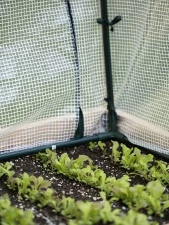 Protection Frame & Covers, 2' X 4' 12 Protection Frame & Covers, 2' X 4' -Garden Sales 8587631 271 tif 1