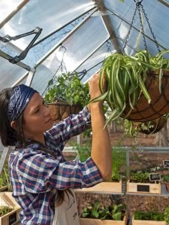 Canopia® By Palram Balance Greenhouse, 8' X 12' 31 Canopia® By Palram Balance Greenhouse, 8' X 12' -Garden Sales 8588023 07V jpg