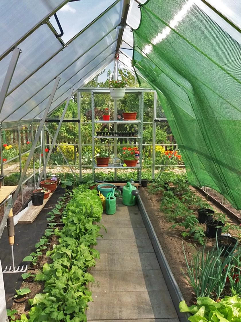 Canopia® By Palram Balance Greenhouse, 8' X 12' 13 Canopia® By Palram Balance Greenhouse, 8' X 12' - Image 11