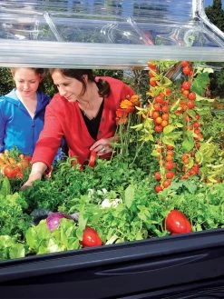 Canopia® By Palram Plant Inn™ Raised Bed Greenhouse, 4' X 4' -Garden Sales 8588308 03V tif