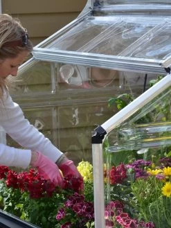 Canopia® By Palram Plant Inn™ Raised Bed Greenhouse, 4' X 4' -Garden Sales 8588308 04V tif