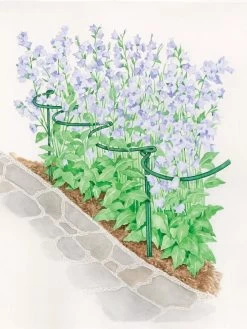 Tidy Path Supports 7 Tidy Path Supports -Garden Sales 8588403 003 1