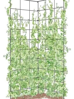 Two Panel Folding Trellis 5 Two Panel Folding Trellis -Garden Sales 8589053 002Z tif