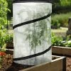 Pop-Up Tomato Accelerator -Garden Sales 8589749 4171 pop up tomato plant protector and accelerator tif