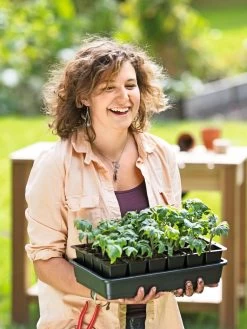 Growease Seed Starter Kit -Garden Sales 8589987 0446 tif