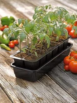 Growease Seed Starter Kit -Garden Sales 8589988 1056 tif