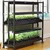 2-Tier SunLite® Garden 2 2-Tier SunLite® Garden -Garden Sales 8590049 2489 grow lights with two shelves large tif