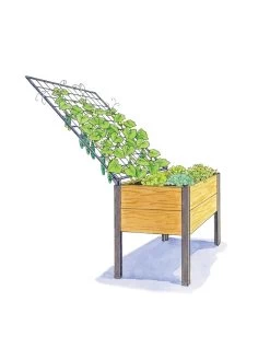 Space-Maker Pivoting Trellis, 4' 8 Space-Maker Pivoting Trellis, 4' -Garden Sales 8590247 SMTrellis 4ft tif