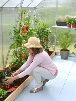 Canopia® By Palram Essence™ Greenhouse, 8' X 12' 18 Canopia® By Palram Essence™ Greenhouse, 8' X 12' -Garden Sales 8591356 04V tif